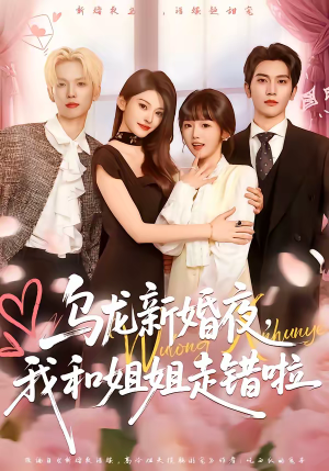 乌龙新婚夜，我和姐姐走错啦（59集）精彩短剧片段