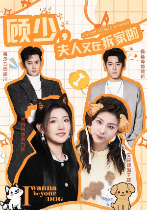 顾少，夫人又在拆家啦（78集）熬夜追短剧