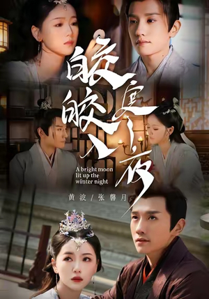 皎皎入寒夜（88集）全集免费观看