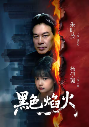 黑色焰火（41集）热门了短剧