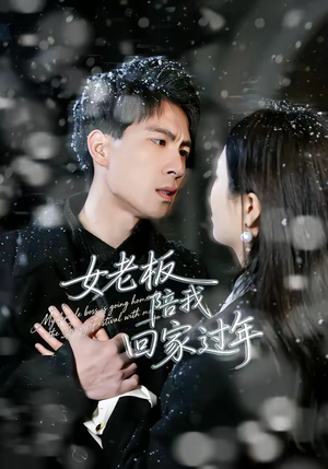女老板陪我回家过年(40集) 女老板陪我回家过年(40集)演的怎么样