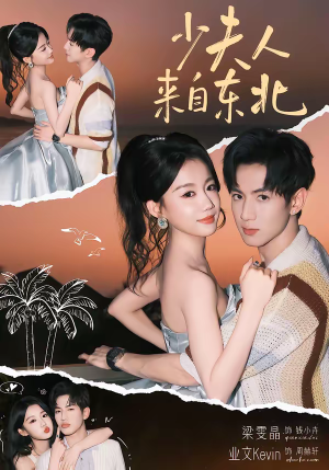 少夫人来自东北（80集）精彩短剧热播