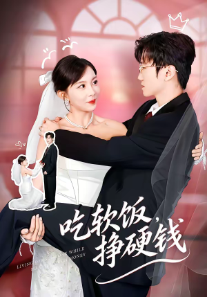 吃软饭,挣硬钱(80集) 吃软饭,挣硬钱(80集)评价怎么样