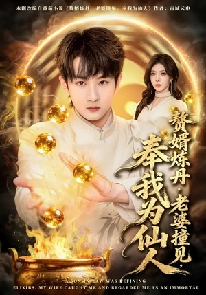 赘婿炼丹，老婆撞见，奉我为仙人（59集）最新上映免费看