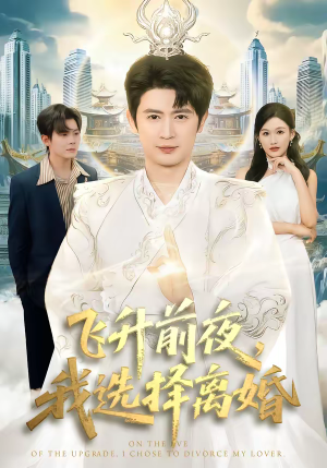 飞升前夜，我选择离婚（80集）红果免费短剧