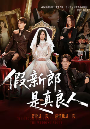 假新郎是真良人（67集）短剧全集大结局