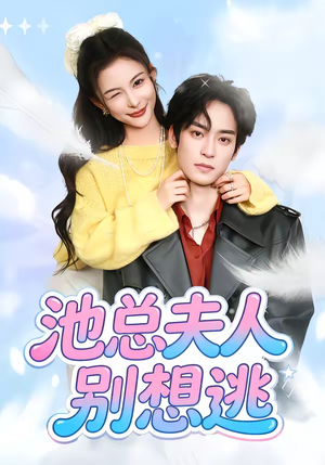 池总夫人别想逃（40集）全集在线看