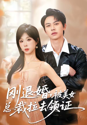 刚退婚，被美女总裁拉去领证（81集）最火爆的短剧