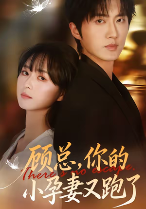 顾总，你的小孕妻又跑了（47集）短剧推荐来了