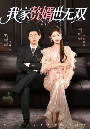 我家赘婿世无双（73集）经典回顾免费看