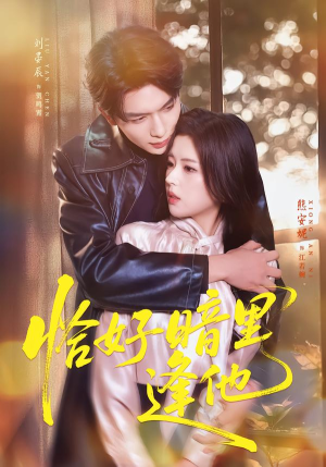 恰好暗里逢他（66集）看精彩短剧