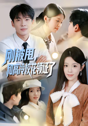 刚被甩，和高冷校花领证了（67集）短剧精彩绝伦