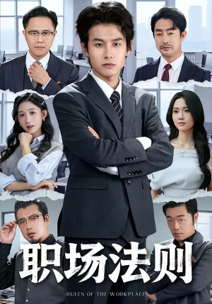 职场法则（79集）短剧解说全集
