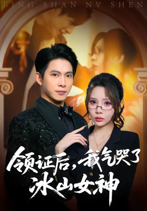 领证后，我气哭了冰山女神（60集）最热短剧抢先看