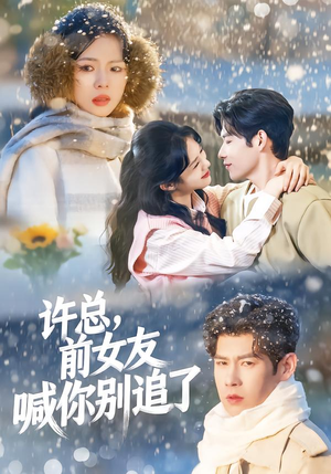 许总,前女友喊你别追了(80集) 许总,前女友喊你别追了(80集)热门短剧又来了