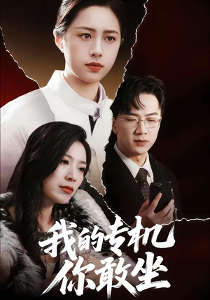 我的专机你敢坐（62集）正能量短剧分享