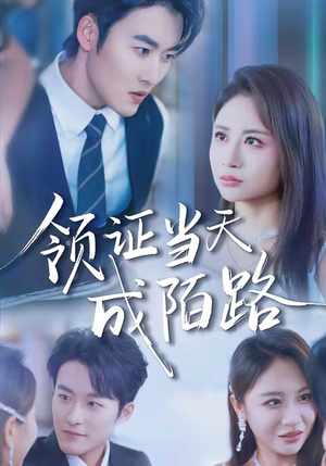 领证当天成陌路（39集）好看的国产短剧