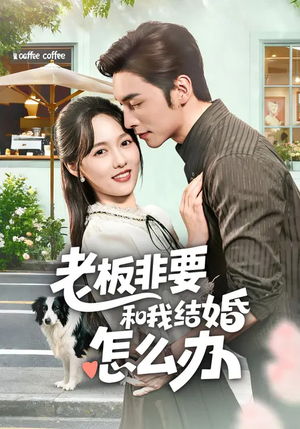 老板非要和我结婚怎么办（50集）看到大结局