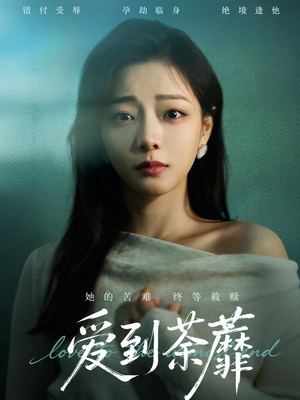 爱到荼蘼（63集）哪个网站可以看