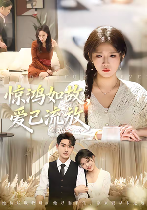 惊鸿如故，爱已流放（81集）在线看到大结局