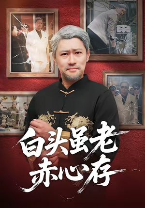 白头虽老赤心存（71集）80到100集