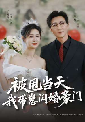 被甩当天我带崽闪婚豪门（70集）热门短剧分享