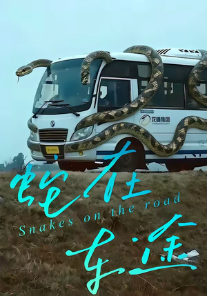 蛇在车途（34集）常回家看看短剧