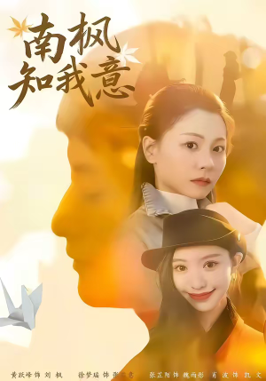 南枫知我意（41集）古装热门短剧