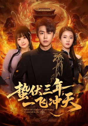 蛰伏三年，一飞冲天（60集）不用花钱看全剧