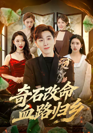 奇石改命血路归乡（81集）精彩短剧后续