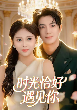 时光恰好遇见你（80集）全网独播免费看