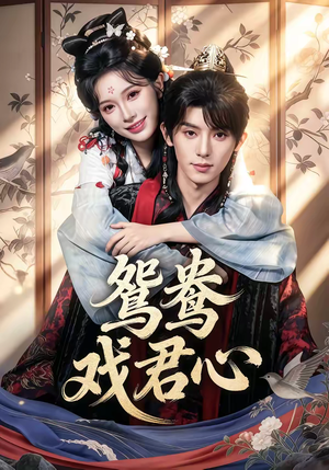 鸳鸯戏君心（60集）短剧在线看