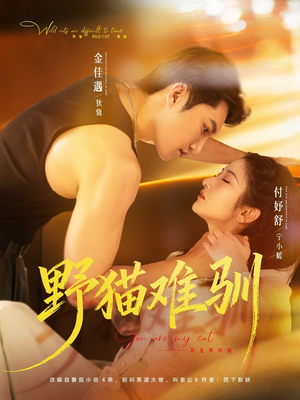 野猫难驯（73集）独家短剧免费看