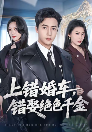 上错婚车，错娶绝色千金（80集）热门短剧大全