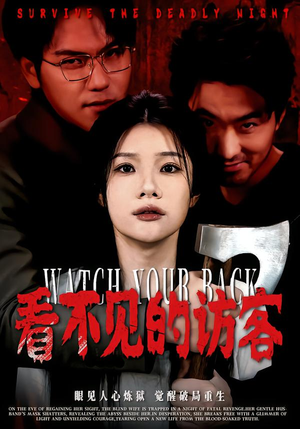 看不见的访客（62集）短剧解说热门