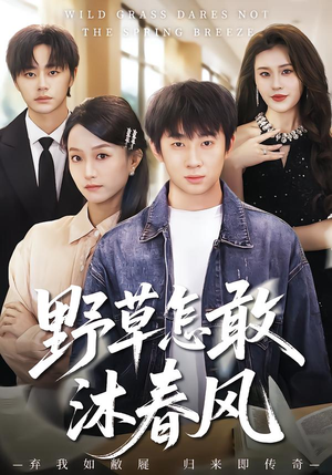 野草怎敢沐春风（61集）在线看到大结局