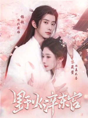 野火淬东宫（76集）精彩短剧后续