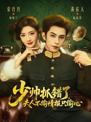 少帅抓错了，夫人不偷情报只偷心（66集）免费短剧资源