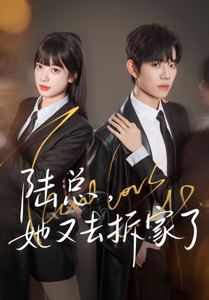 陆总，她又去拆家了（80集）热门短剧排行榜