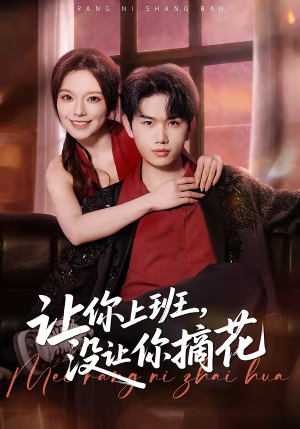 让你上班，没让你摘花（70集）短剧全集抢先看