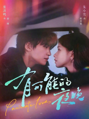 有可能的夜晚（81集）第一季