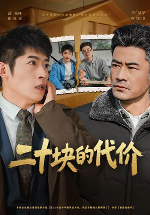 二十块的代价（64集）完整版免费观看