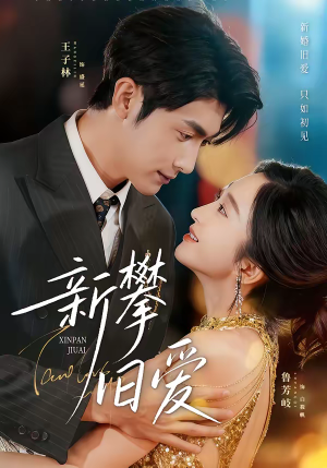 新攀旧爱（67集）全季一次看完