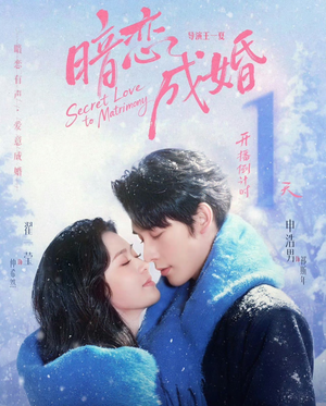 暗恋成婚（60集）追短剧关注我