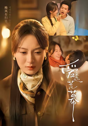 爱意荒幕（70集）快来看短剧