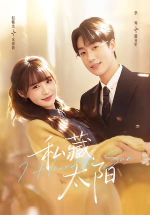 私藏太阳（91集）不用花钱看全剧