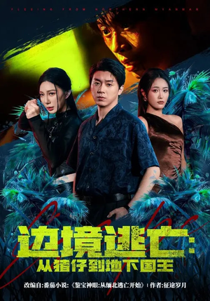 边境逃亡：从猪仔到地下国王（81集）经典老剧免费看