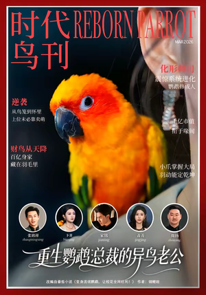 重生鹦鹉：总裁的异鸟老公（80集）好看短剧看不停