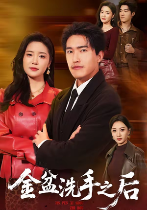 金盆洗手之后（62集）高分推荐免费看