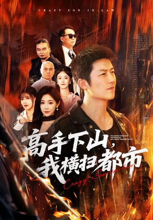 高手下山，我横扫都市（69集）夸克网盘观看